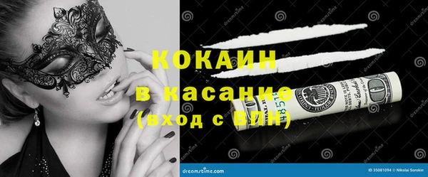 индика Балахна
