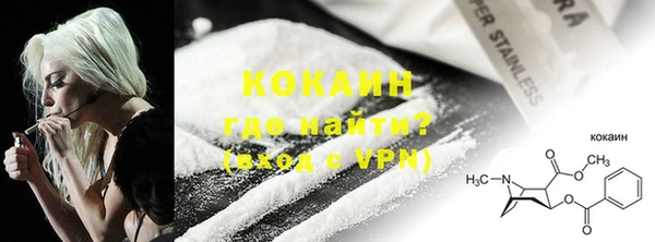 индика Балахна