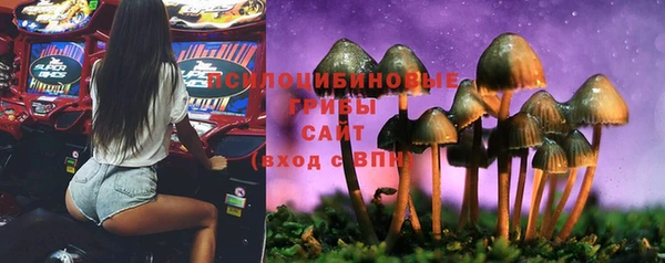 индика Балахна