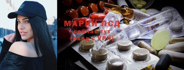 индика Балахна